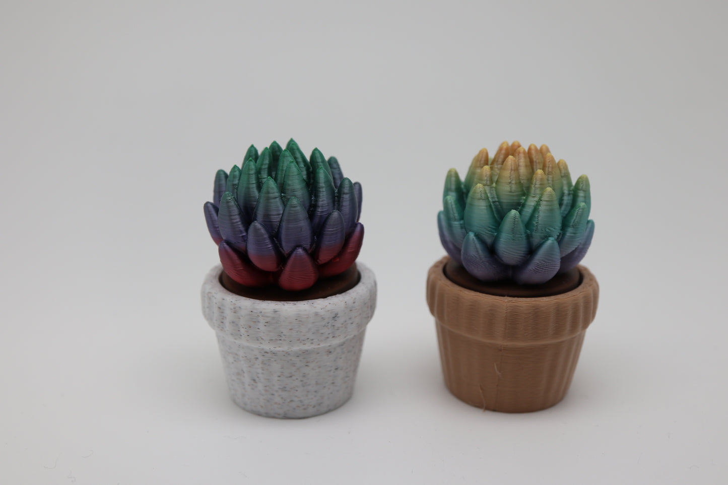✨ Succulent Fidget Clicker – Rainbow Petal Edition (Two Styles) ✨