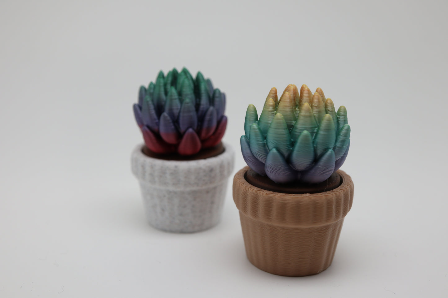 ✨ Succulent Fidget Clicker – Rainbow Petal Edition (Two Styles) ✨