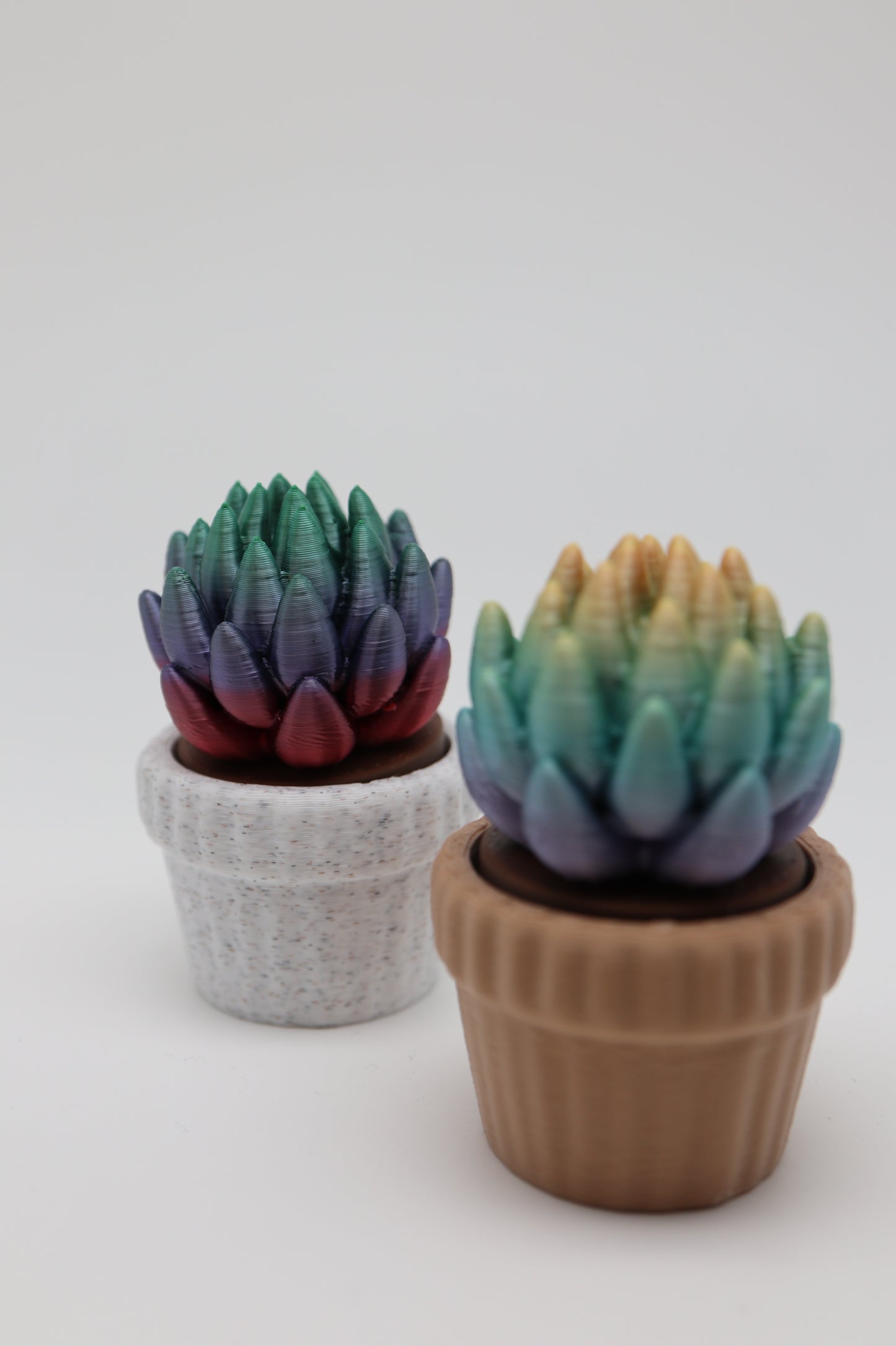 ✨ Succulent Fidget Clicker – Rainbow Petal Edition (Two Styles) ✨