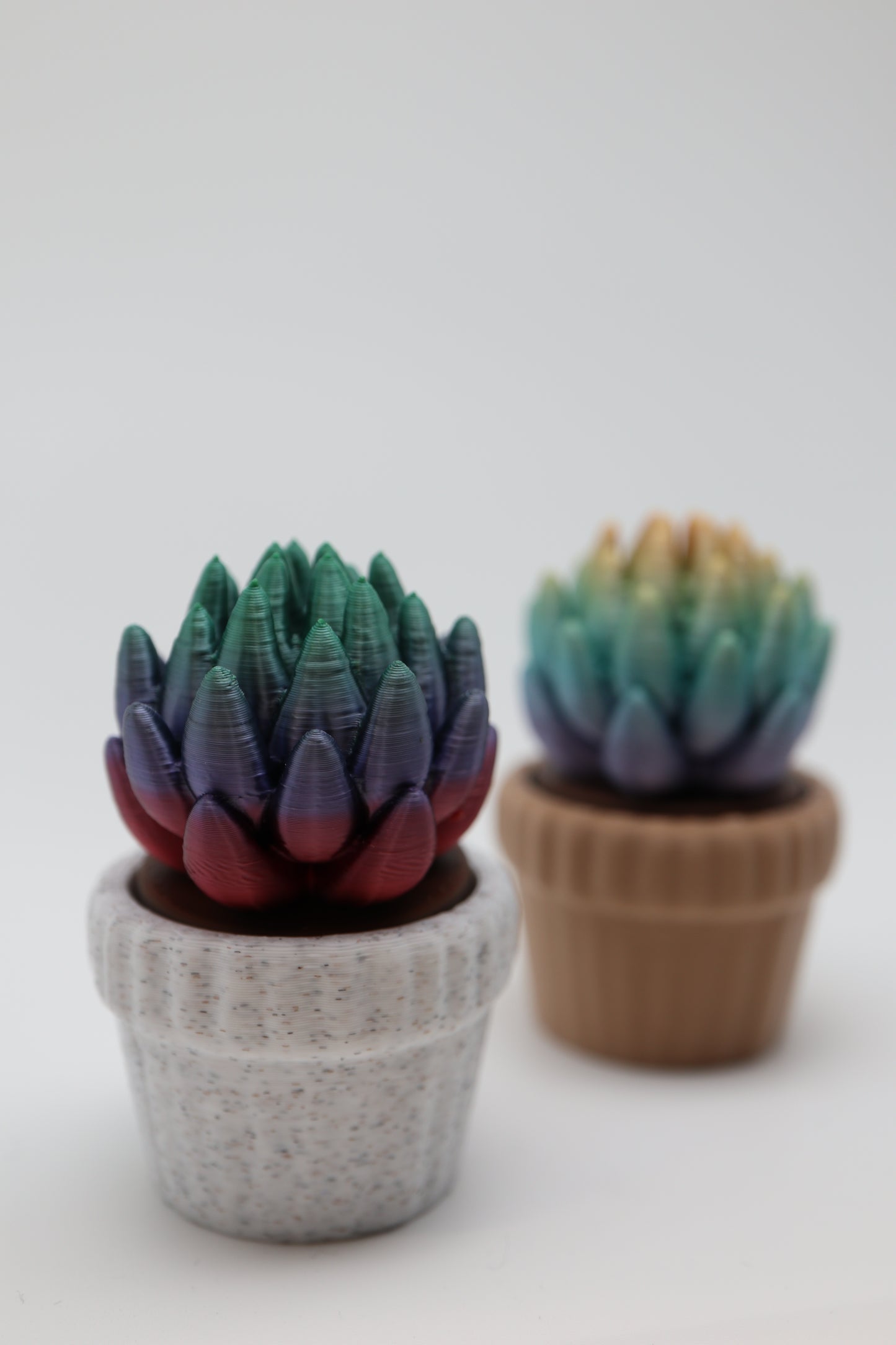 ✨ Succulent Fidget Clicker – Rainbow Petal Edition (Two Styles) ✨