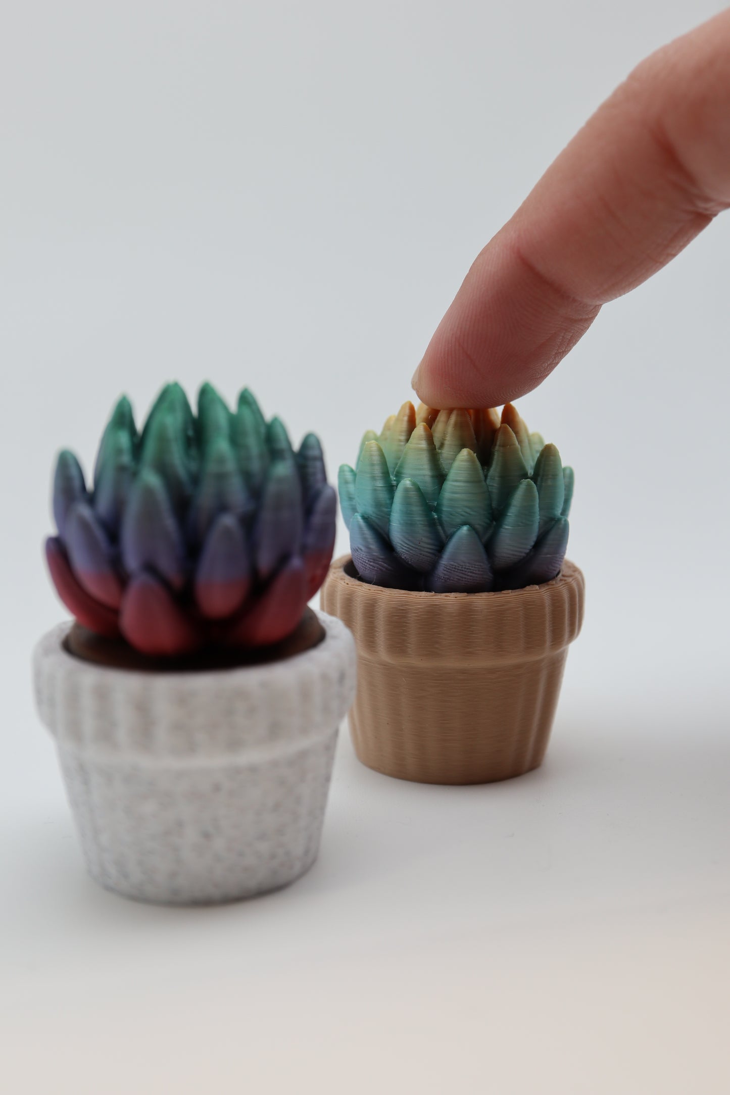 ✨ Succulent Fidget Clicker – Rainbow Petal Edition (Two Styles) ✨
