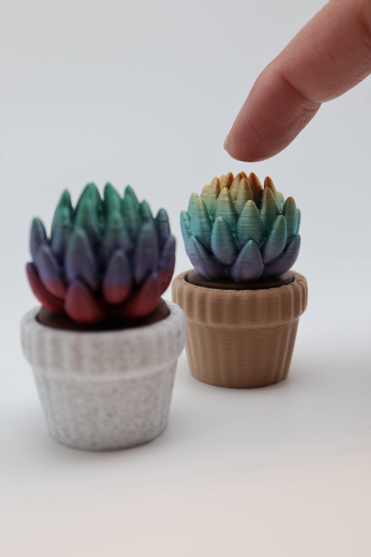 ✨ Succulent Fidget Clicker – Rainbow Petal Edition (Two Styles) ✨