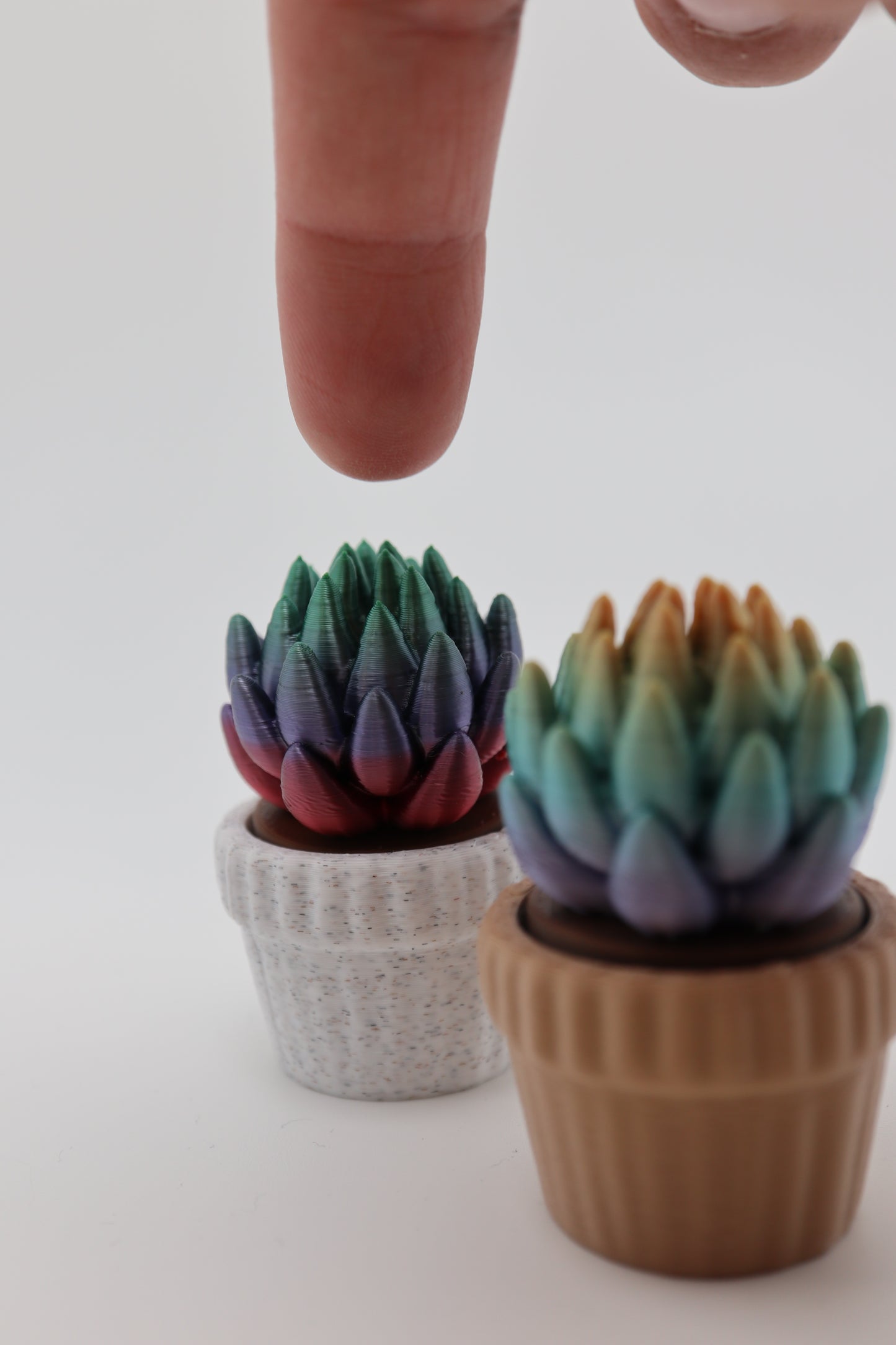 ✨ Succulent Fidget Clicker – Rainbow Petal Edition (Two Styles) ✨