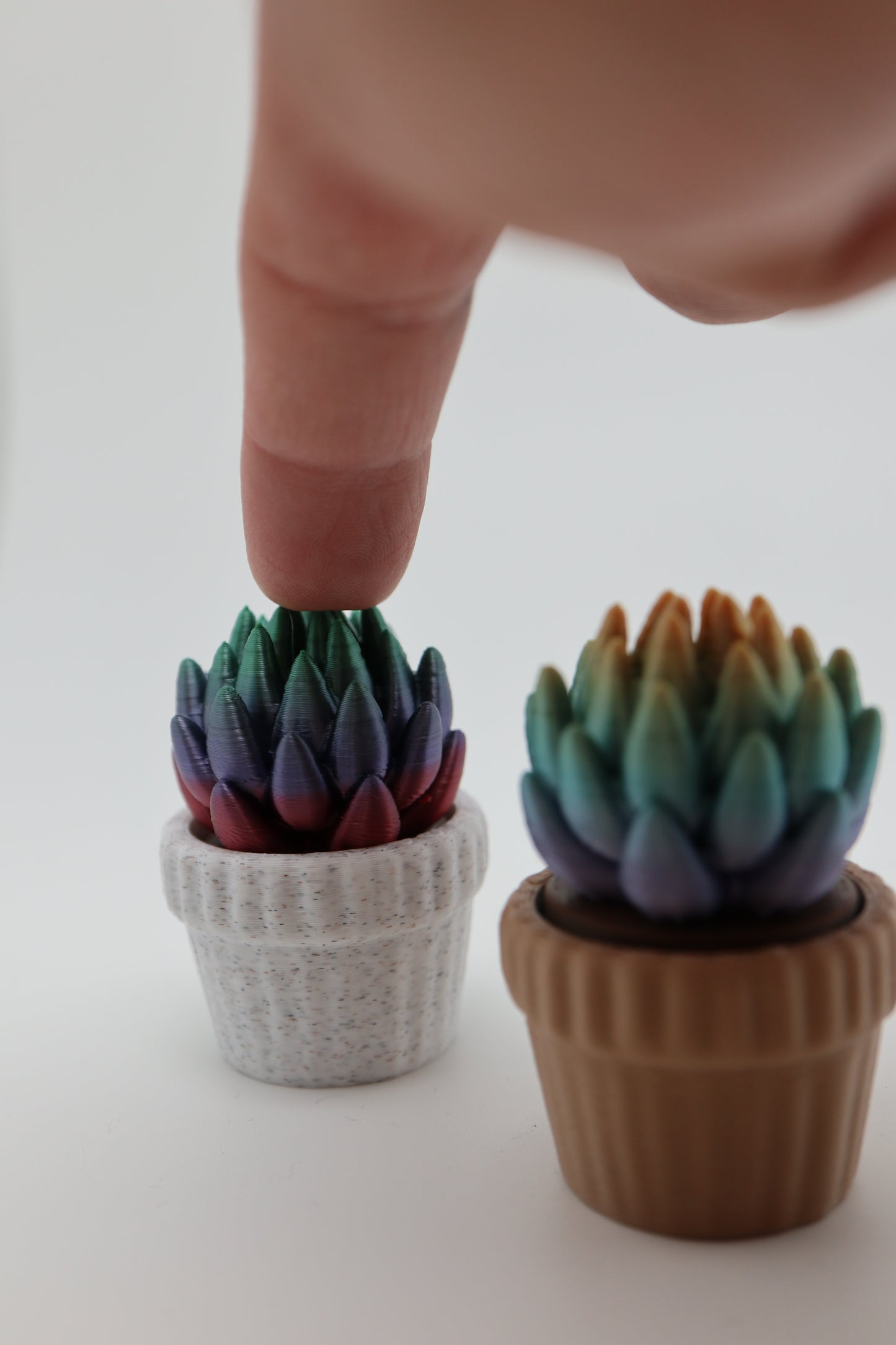 ✨ Succulent Fidget Clicker – Rainbow Petal Edition (Two Styles) ✨
