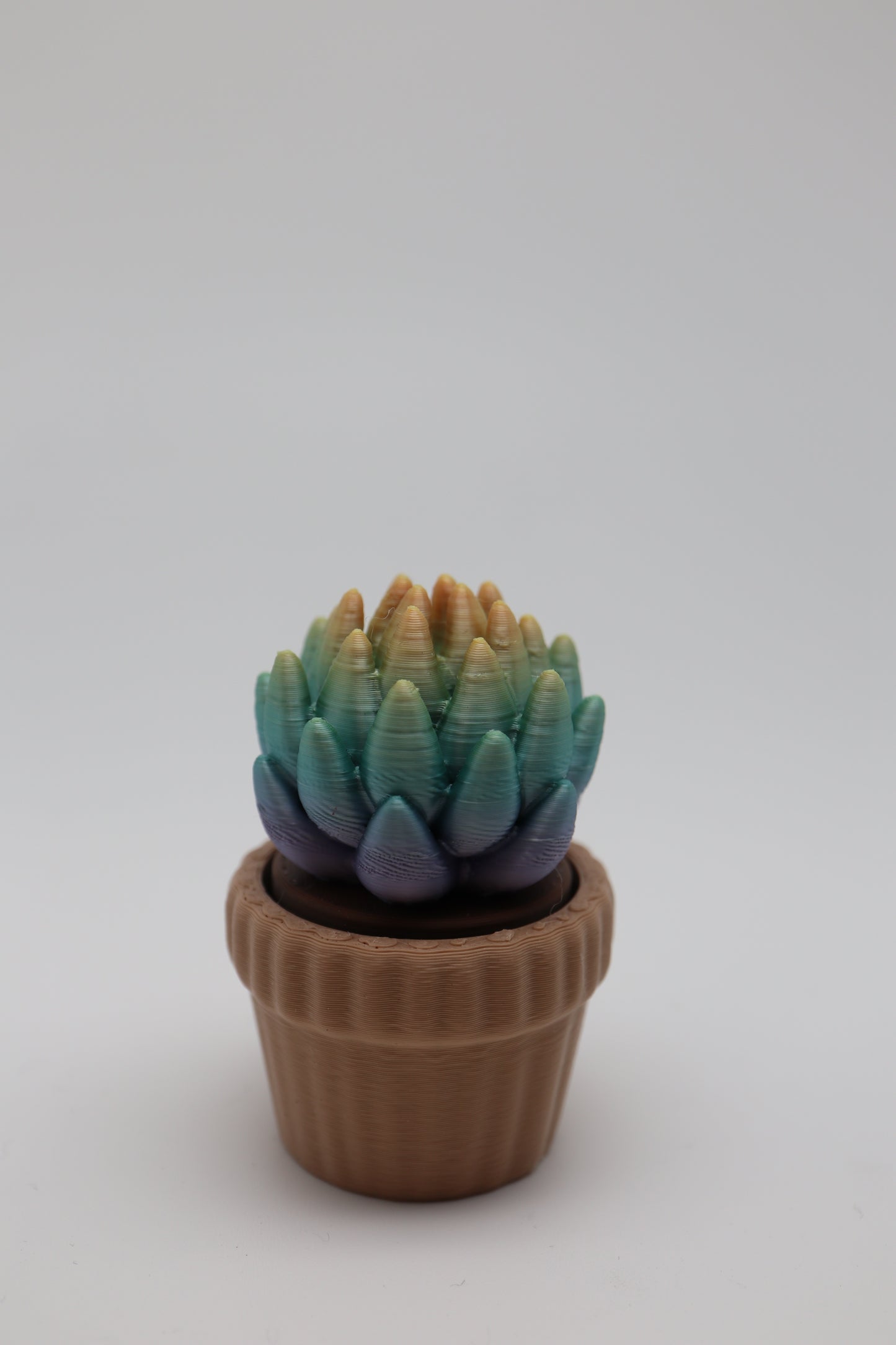 ✨ Succulent Fidget Clicker – Rainbow Petal Edition (Two Styles) ✨