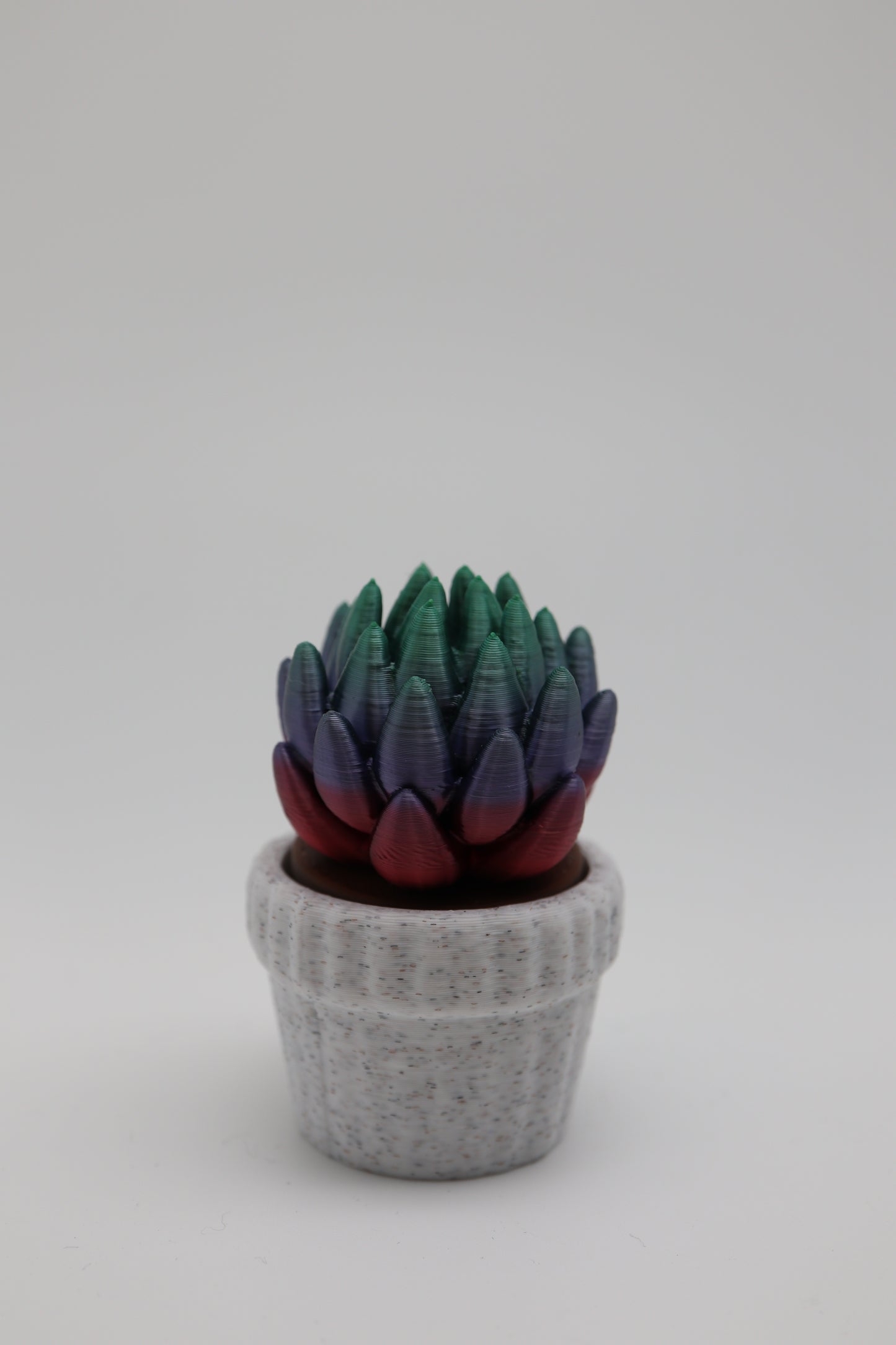 ✨ Succulent Fidget Clicker – Rainbow Petal Edition (Two Styles) ✨